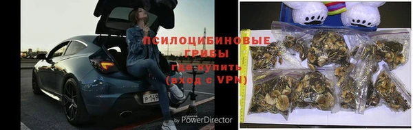 дурь Алексеевка