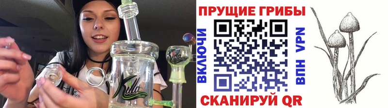 Псилоцибиновые грибы Magic Shrooms  Сенгилей 